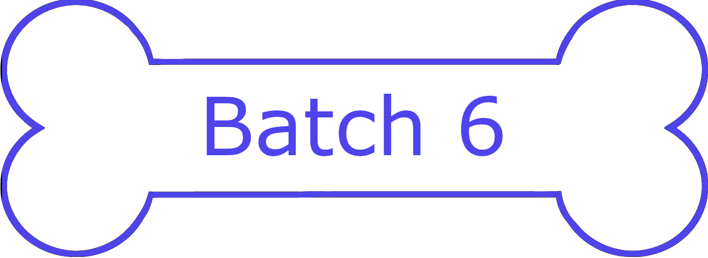 Batch 6