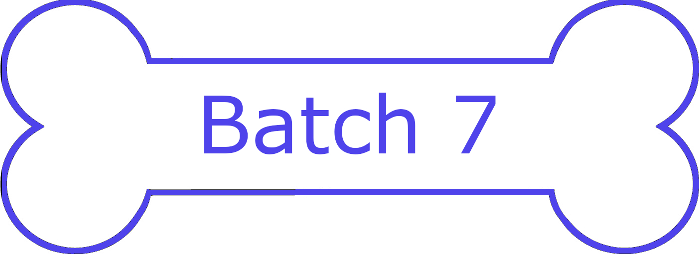 Batch 7