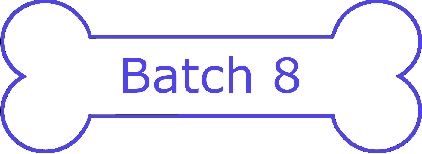 Batch 8