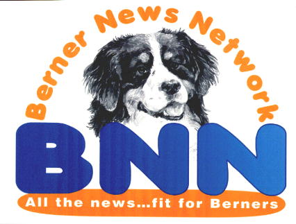 BNN Logo