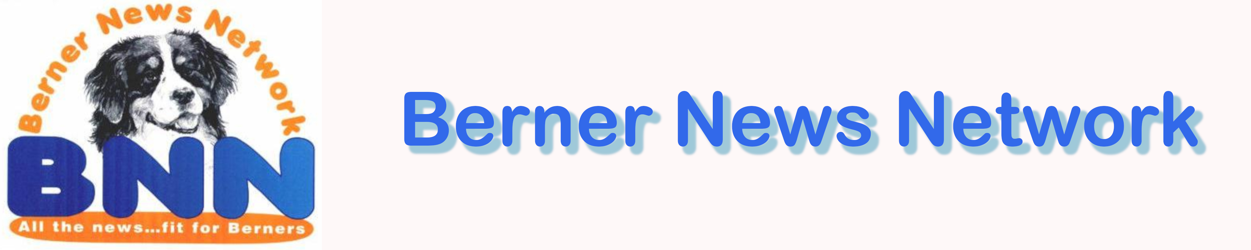 BNNBanner DropSHaow